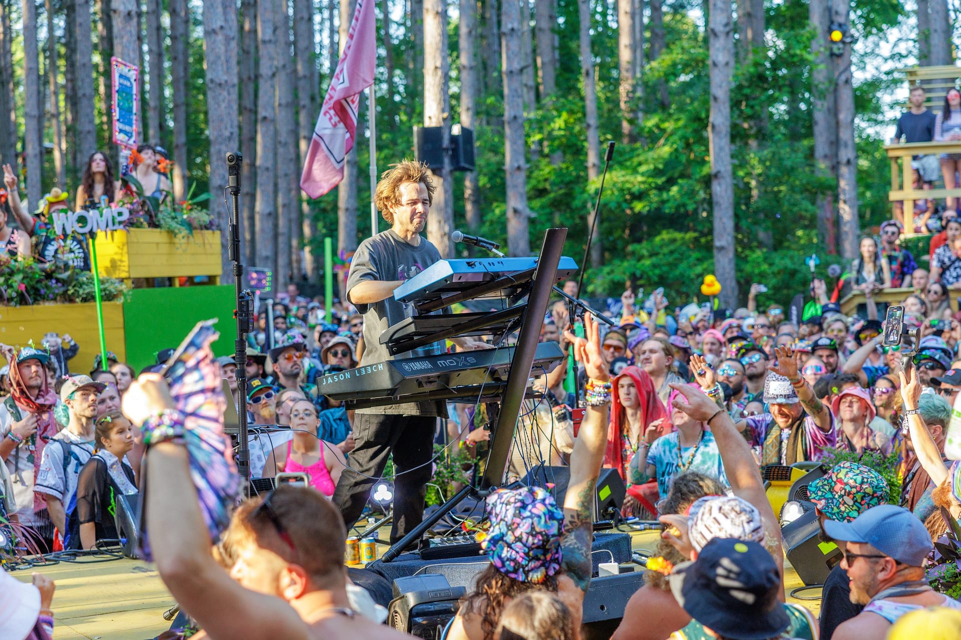 Whispers From the Forest (Part 3): Rhythm and Melody in Electric [Rain]Forest