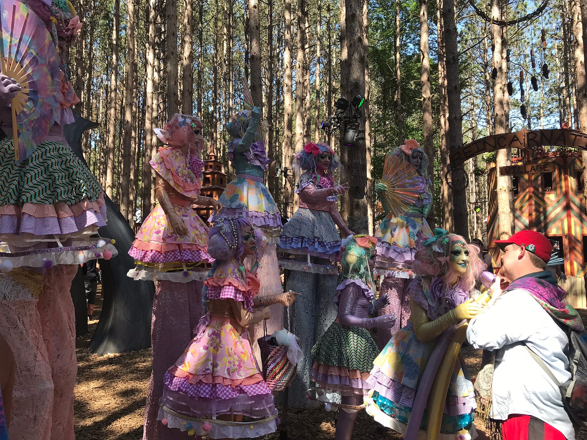 Electric Forest Approaches: Magic, Music, and More…